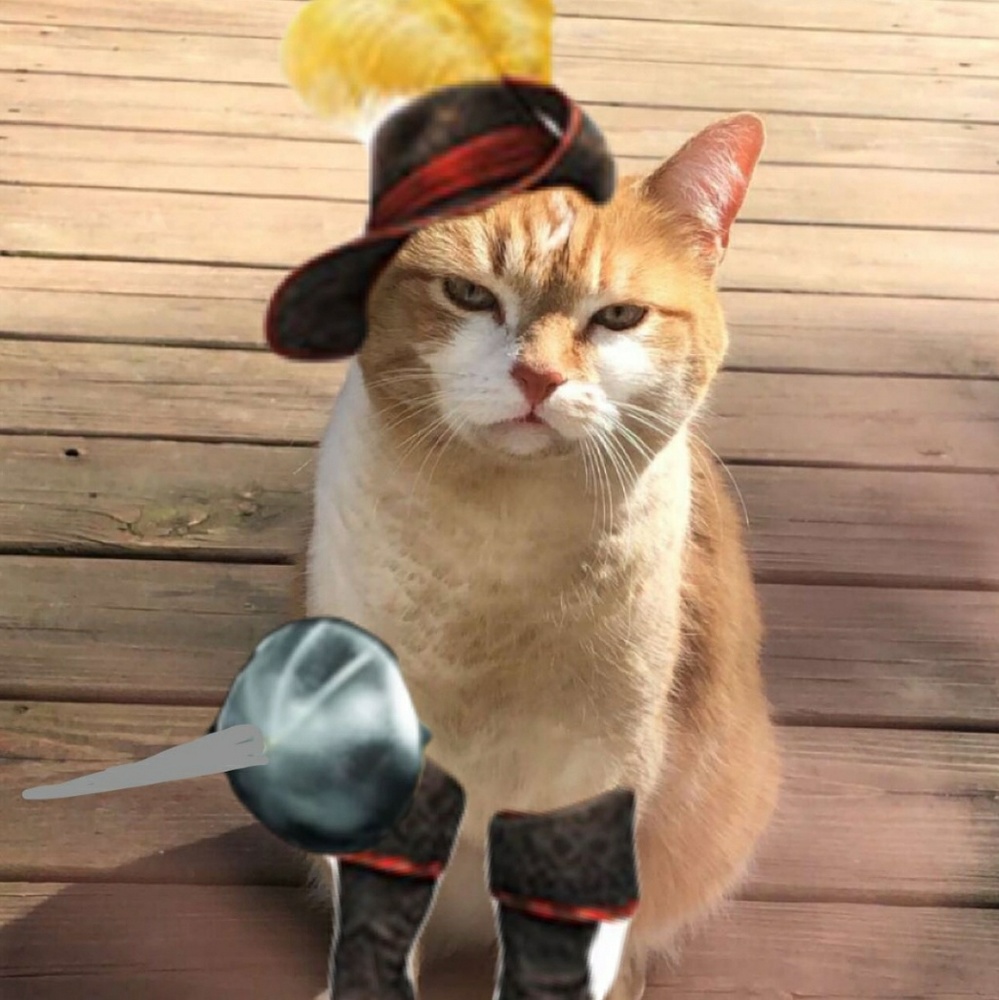 Meet your Posher, Kimberly